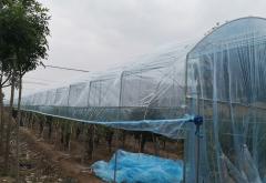 山东滨州沾化项目工程实施