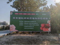 德发公司：为高青生态西红柿提质增效 鼎力提供技术和产品服务