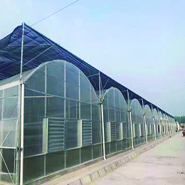 智能连栋棚建设