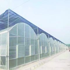 智能连栋棚建设